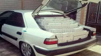 توقیف ۳ هزارخودروی شوتی