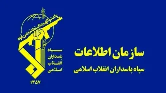 شبکه سازمان‌یافته فساد در حوزه خرید تضمینی گندم متلاشی شد