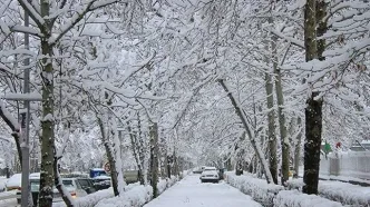 تصاویری جذاب از بارش برف در شمال تهران