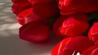 شعر در وصف پدر در روز پدر