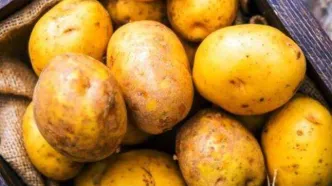 قیمت سیب‌زمینی به آسمان رسید؛ چه عواملی باعث افزایش نجومی قیمت این محصول شدند؟!