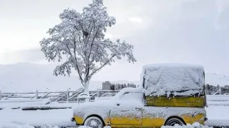 تفال به حافظ دوشنبه ۱ بهمن ۱۴۰۳؛  اگر آن طایر قدسی ز درم بازآید....