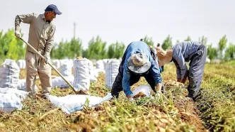 ایران و چین آماده همکاری جدید