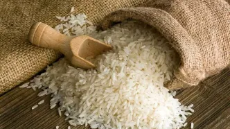 برنج ارزان را از اینجا بخرید