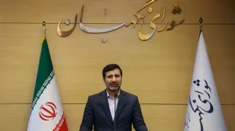 سخنگوی شورای نگهبان: در شورا نسبت به CFT ایراد داشتیم نه درباره کنوانسیون پالرمو