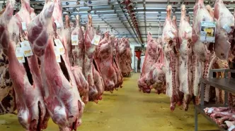 قیمت گوشت قرمز امروز ، امروز ۲۹ بهمن ۱۴۰۳
