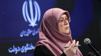 (ویدئو) توضیحات سخنگوی دولت درباره FATF: نمی‌شود ما خودمان راه را بر خودمان ببندیم