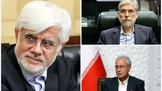 تماس تلفنی برخی از اعضای دولت با خانواده امیرمحمد خالقی
