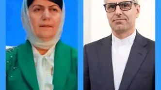 عیادت سخنگوی وزارت امور خارجه از یک شاعر
