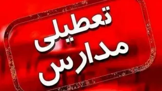 فردا مدارس کردستان مجازی شد؛ سرمای هوا دلیل تعطیلی!