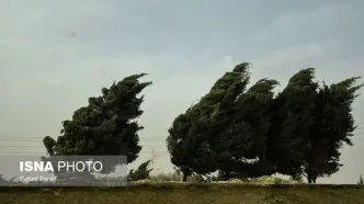باد و طوفان شدید در راه پایتخت