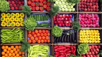 ۷ خوراکی کلیدی برای کاهش چربی بدن بعد از ۴۰ سالگی