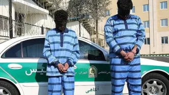 حکم عاملان سرقت مرگبار از دانشجوی دانشگاه تهران تایید شد/ جزئیات