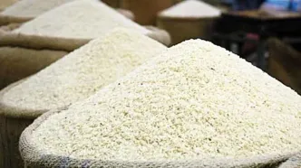 چگونه از شرّ «سوسک برنج» خلاص شویم؟