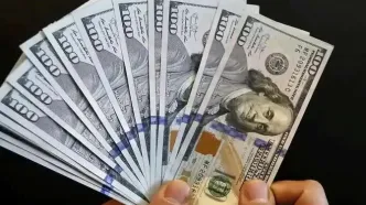 دلار سقوط کرد؟/ جدیدترین قیمت دلار آمریکا امروز سه شنبه ۱۶ بهمن ماه ۱۴۰۳