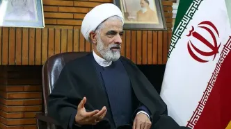 انصاری: مجمع تشخیص پالرمو را تصویب خواهد کرد/ دولت نیاز جدی به این مصوبه دارد