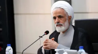 معاون پزشکیان: مستندسازی خسارات حوادث دی‌ماه در حال انجام است