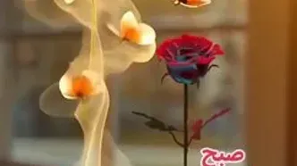 تفسیر فال حافظ 16 بهمن + فیلم