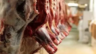 نوسانات بازار گوشت قرمز در بازار/جدول قیمت گوشت قرمز امروز چهارشنبه ۱۵ اسفند ۱۴۰۳