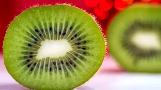 صادرات کیوی از امروز مجاز است