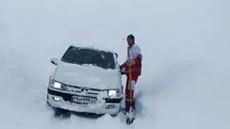 سرنوشت عجیب و ترسناک ۱۵ خودروی گرفتار شده در بهمن جاده چالوس