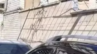 ماجرای میمون های سرگردان در‌ کرج