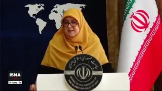 ‏سخنگوی دولت درباره FATF: باید ثابت بکنیم که پولشویی نمی‌کنیم و همکاری سازمان یافته با تروریسم نداریم