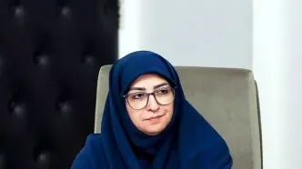 انصاری: تالاب صالحیه، کانون اصلی گردوغبار تهران و کرج است