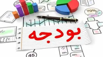 پرداخت هرگونه وجهی از محل بودجه کل کشور به ورزش حرفه‌ای ممنوع شد