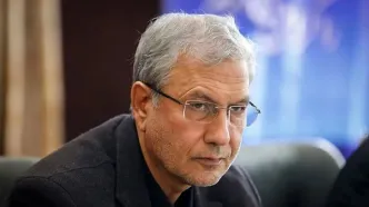 کنایه تند علی ربیعی به رحیم پور ازغدی و نمایندگان تندرو مجلس؛ این افراد فاقد هرگونه تربیت گفتاری  و کلامی هستند