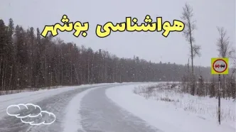 وضعیت آب و هوا بوشهر فردا ۶ اسفند ماه ۱۴۰۳ | پیش بینی هواشناسی بوشهر فردا دوشنبه ۶ اسفند