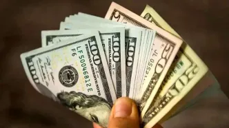 قیمت دلار آزاد و دلار مبادله در بازار امروز چهارشنبه ۱۷ بهمن ۱۴۰۳ + جدول رسمی