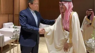 جزئیات دیدار همتی با وزیر دارایی عربستان