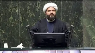 وارد کنندگان برنج چه افرادی هستند؟