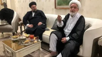 سیدحسن خمینی با کروبی دیدار کرد
