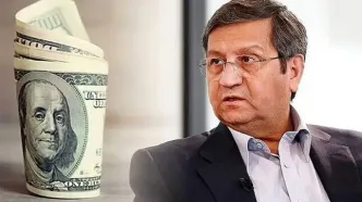 موافقان استیضاح همتی در مجلس چه گفتند؟