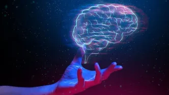 هوش فقط IQ نیست؛ ۱۰ هوش انسانی