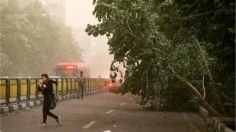 هشدار وزش باد شدید در تهران: تهدیدات جدی برای سازه‌ها و تردد شهری