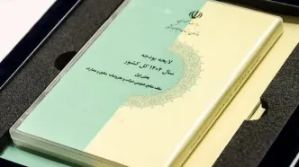 طحان نظیف: بخش دوم لایحه بودجه ۱۴۰۴ تایید شد