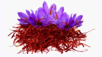 یک کیلو زعفران چند؟