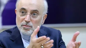 صالحی: نام ‌خلیج فارس⁩ ریشه در بیش از دو هزار سال تاریخ دارد