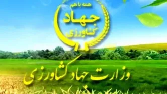 تشدید نظارت در بازارگاه / حساب متخلفان مسدود و پرونده‌ها به تعزیرات می‌رود