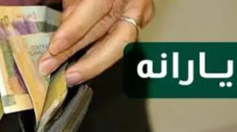 ببینید |  یارانه چه کسانی حذف می‌شود؟