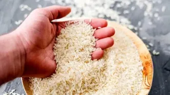 قیمت روز برنج ایرانی و خارجی یکشنبه ۲۶ اسفند / کدام برنج ارزان‌تر است؟