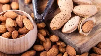 دنبال کالری‌سوزی هستید؟ /این مغز آجیلی به کارتان می‌آید