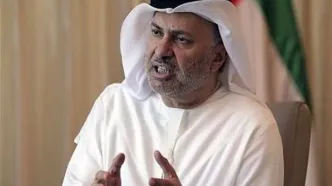 دیدار مشاور رئیس امارات با «عراقچی»