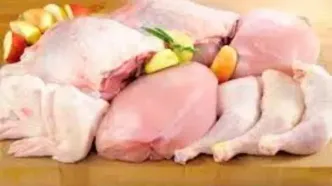 اتفاق عجیب برای مرغ‌های وارداتی !