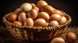 قیمت تخم‌مرغ کاهش یافت