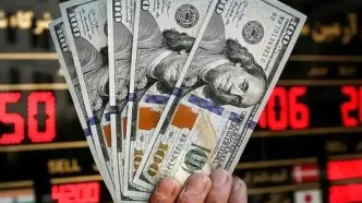افزایش قیمت دلار در بازار آزاد؛ نرخ دلار امروز ۲۲ اسفند ۱۴۰۳ به ۹۲۴ هزار و ۶۵۰ ریال رسید