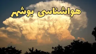 پیش بینی وضعیت آب و هوا بوشهر فردا پنجشنبه ۴ اردیبهشت ماه ۱۴۰۴ | پیش بینی هواشناسی بوشهر ۲۴ ساعت آینده